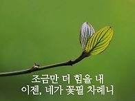 2026.04.01 아침인사~