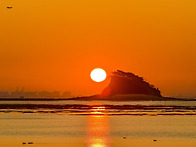 새해아침인사...