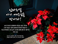 PICTURE&TEXT_20251..