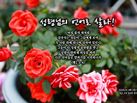 PICTURE&TEXT_20260..