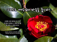 PICTURE&TEXT_20260..