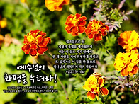 PICTURE&TEXT_20261..