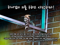 PICTURE&TEXT_20250..