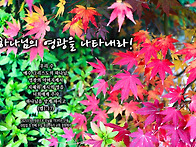 PICTURE&TEXT_20251..