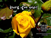 PICTURE&TEXT_20250..