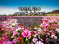 PICTURE&TEXT_20261..