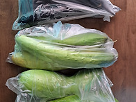 양평에서 직접 수확한 텃밭..