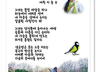 하늘에서 내려온 선녀