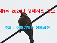 [공지] 제1회 2024년 생..