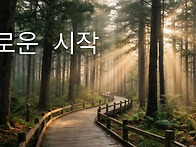 [공지] 2026년 하반기 (..