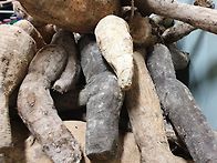 생칡즙 판매 합니..