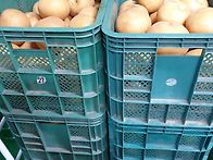 진한도라지배즙,생..