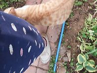 행복