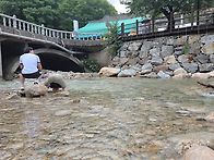 계룡산동학사계곡^^