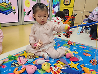 &#127872;가호동공동..