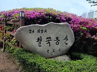 24년 4월 20일 산본 철쭉..