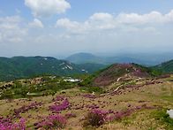 황매산 철쭉