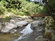 563차 금산 성치산..