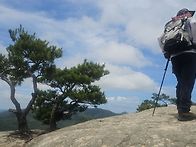막장봉