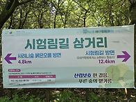 2025년06월03일 에코힐링