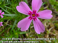 하루기행,장수 뜬..