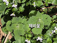 우리땅걷기 하루기..
