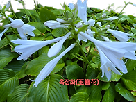 우리땅걷기 해파랑..