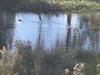 전주행사 (2025..