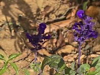 전주행사 (2025..