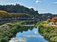 2024.11.2 전주..