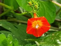 2022년 8월28일 지선이네서 아침을......