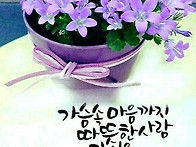 사랑 합니다 ✨&..