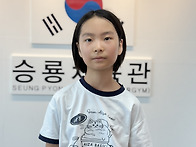 26년 3/4분기 국기원 심사..