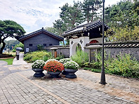 세미원 수련