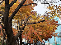 중랑천의 가을 빛