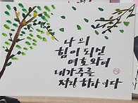 캘리