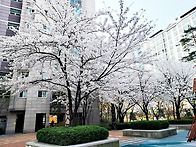 산책길의 오늘