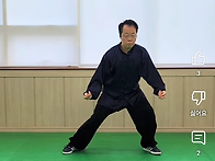 태극권 발경과 운..