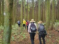 5월 세째주 산행