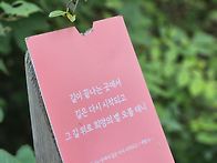 2026년6월28일올레13코스..