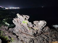 5월정기모임