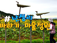 난정리 해바라기 마을에서