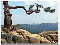 제301차 2026년 9월 정기산행 안내 (괴산..