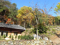  "역마"(驛馬) / 김동리 -4-