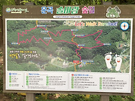 솔바람 숲길