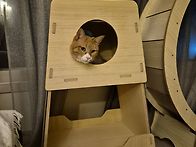 111기 헬롱 프로필 릴레이