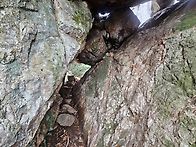 철쭉 꽃이 아름다운 달마산..