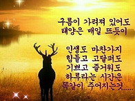 미움의 안경과 사..