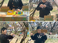 *4월 식목일 행사(나무이름..