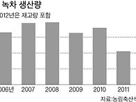 커피 마시다 녹차 잊었다위기의 녹차-요즘 ..